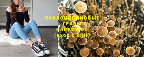 мескалин Бронницы