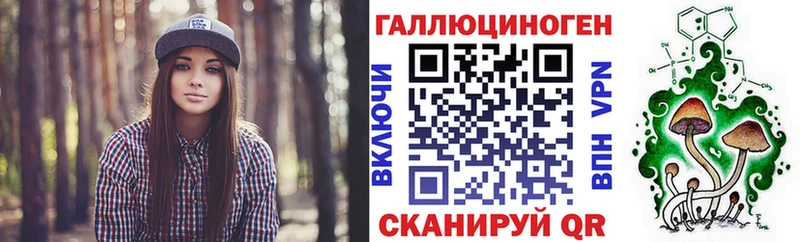 Псилоцибиновые грибы Cubensis  Ленинградская 